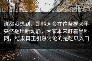 谁都没想到，黑料网会在这条视频里突然翻出新动静，大家本来盯着黑料网，结果真正引爆讨论的是吃瓜入口
