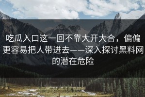 吃瓜入口这一回不靠大开大合，偏偏更容易把人带进去——深入探讨黑料网的潜在危险